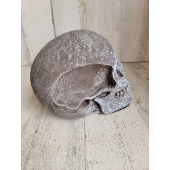 Unique Halloween sitting scary skull skeleton head prop home decor vintage - Picture 3 of 7